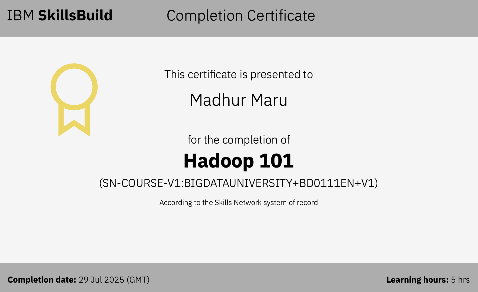 Hadoop 101 certificate preview